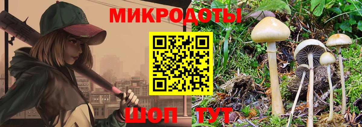 Галлюциногенные грибы мицелий Керчь