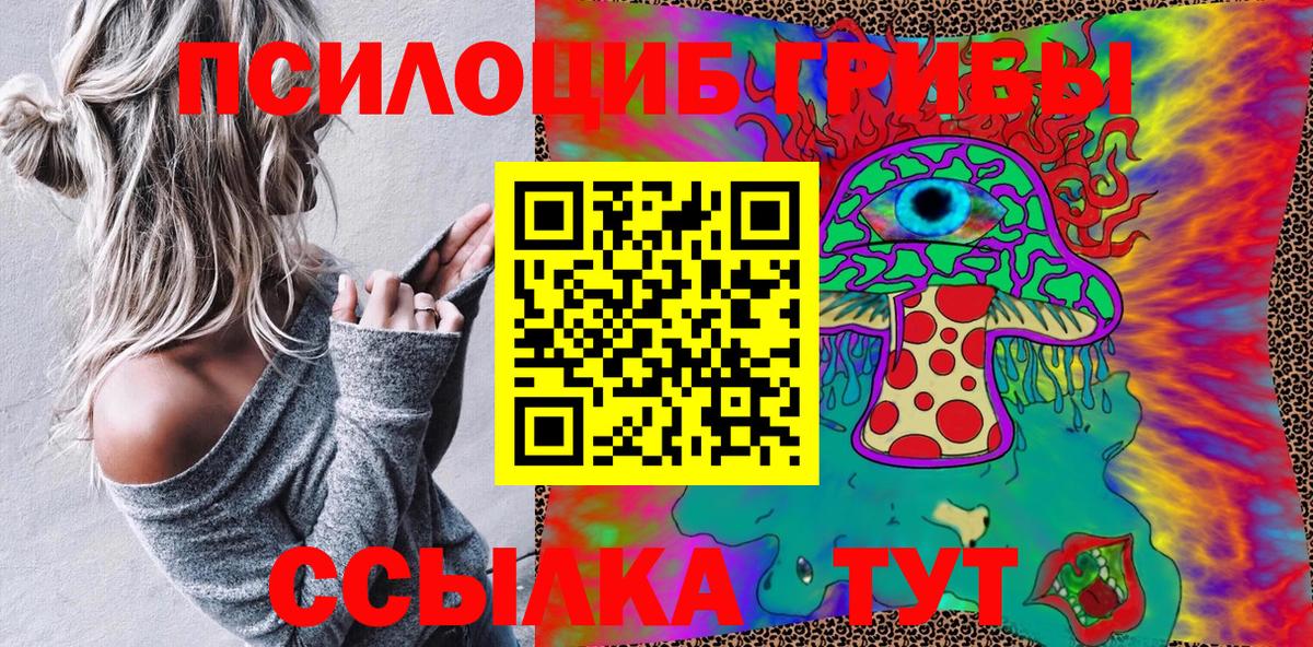 Псилоцибиновые грибы Psilocybe  Вход с VPN  Керчь  Галлюциногенные грибы мицелий 